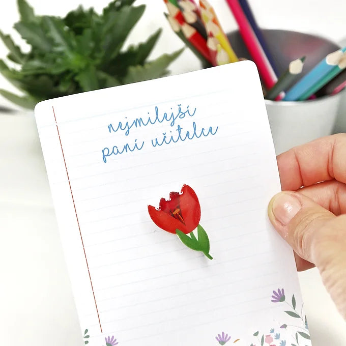 SET přání notes